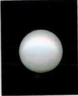 8-ratti-certified-white-pearl-stone 8-ratti-certified-white-pearl-stone
