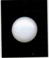 8-ratti-certified-white-pearl-stone 8-ratti-certified-white-pearl-stone