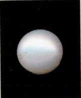 8.25-ratti-certified-white-pearl-stone 8.25-ratti-certified-white-pearl-stone