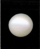8.25-ratti-certified-white-pearl-stone 8.25-ratti-certified-white-pearl-stone
