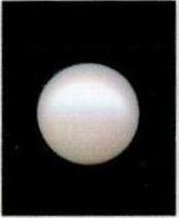 9.25-ratti-certified-white-pearl-stone 9.25-ratti-certified-white-pearl-stone