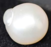 7-ratti-certified-pearl